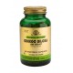 SOLGAR GINKGO BILOBA LEAF EXTRACT 60CAPS