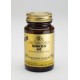 SOLGAR GINKGO BILOBA 60 VEGICAPS 60S