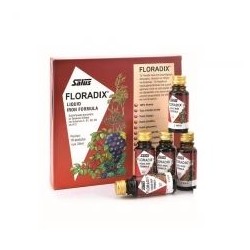 SALUS HAUS FLORADIX LIQUID IRON AMP10X20ML