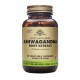 SOLGAR ASWAGANDHA ROOT EXTRACT 60CAPS VEGETABLE