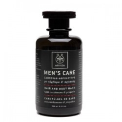 APIVITA MEN'S CARE ΣΑΜΠΟΥΑΝ - ΑΦΡΟΛΟΥΤΡΟ 250ML