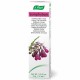 A.VOGEL SYMPHYTUM CREME 35 GR