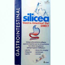 A VOGEL HUBNER SILICEA GASTROINTESTINAL GEL 12 X 15ML