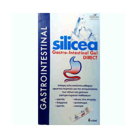 A VOGEL HUBNER SILICEA GASTROINTESTINAL GEL 12 X 15ML