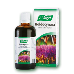 A.VOGEL BOLDOCYNARA 50ML