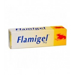 FLAMIGEL GEL   50GR